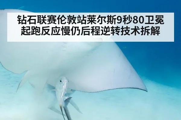 钻石联赛伦敦站莱尔斯9秒80卫冕 起跑反应慢仍后程逆转技术拆解