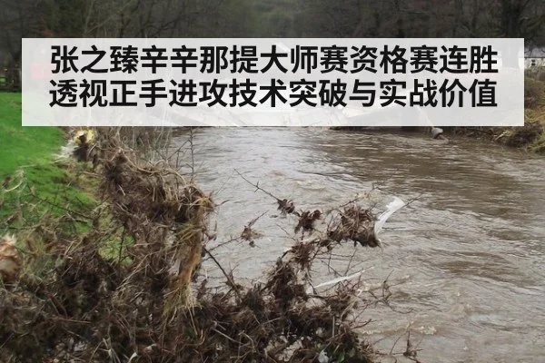 张之臻辛辛那提大师赛资格赛连胜 透视正手进攻技术突破与实战价值
