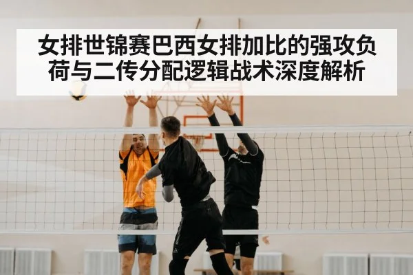 volleyball block net